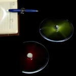 Stylo Fidget Spinning LED Multifonction Créatif, Jouet Souligné, Décompression, Anlande, Gadgets EDC, Antiestrm.com Healing tismo – Image 2